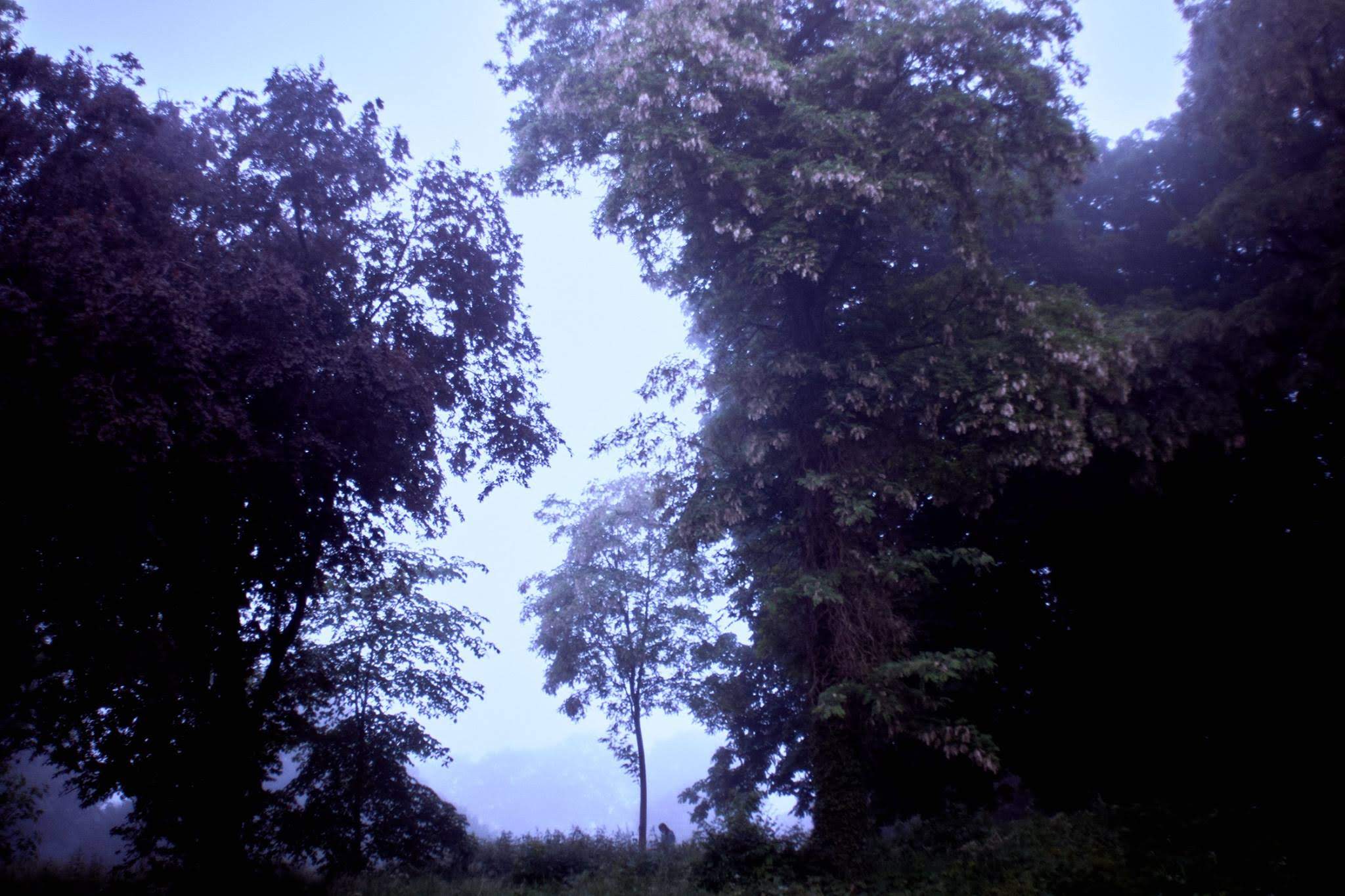 Landscape Photography
