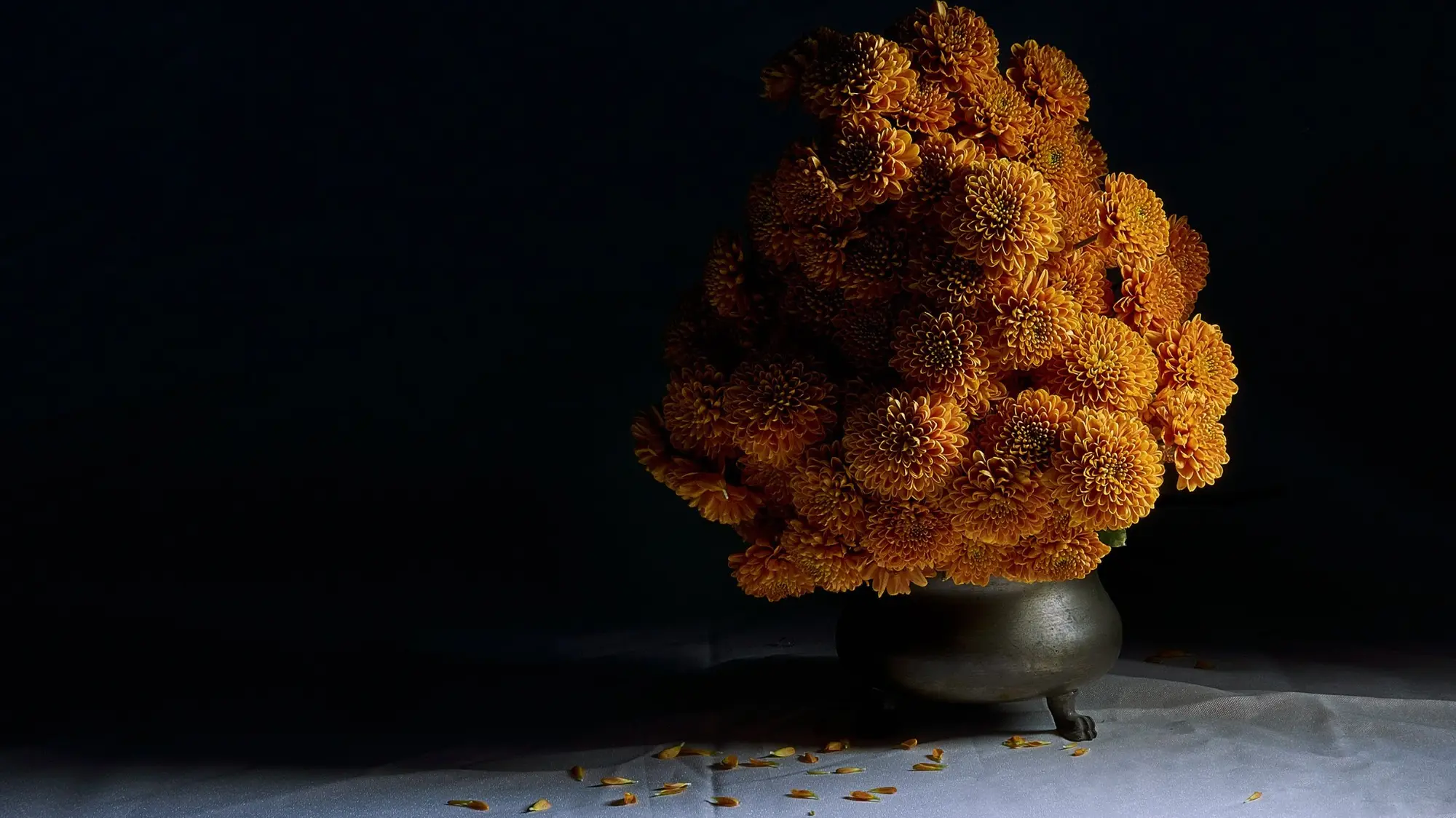 Composition artistique d’un chou-fleur orange sur fond noir