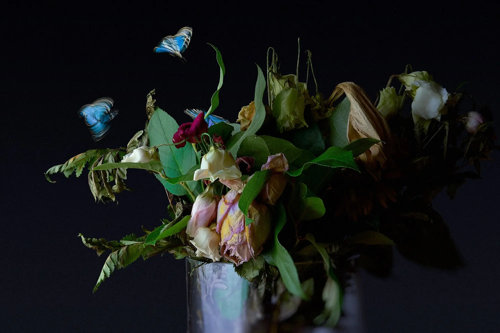 Composition florale sombre accompagnée de papillons bleus
