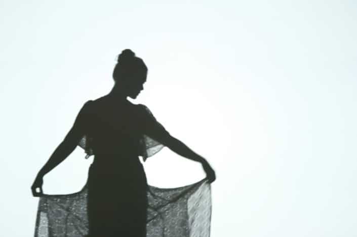 ombre-chinoise-theatre-silhouette-marionette-tournai